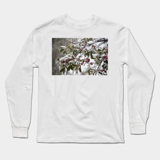 Snowfall Long Sleeve T-Shirt